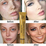Full 14 Colors Concealer Makeup